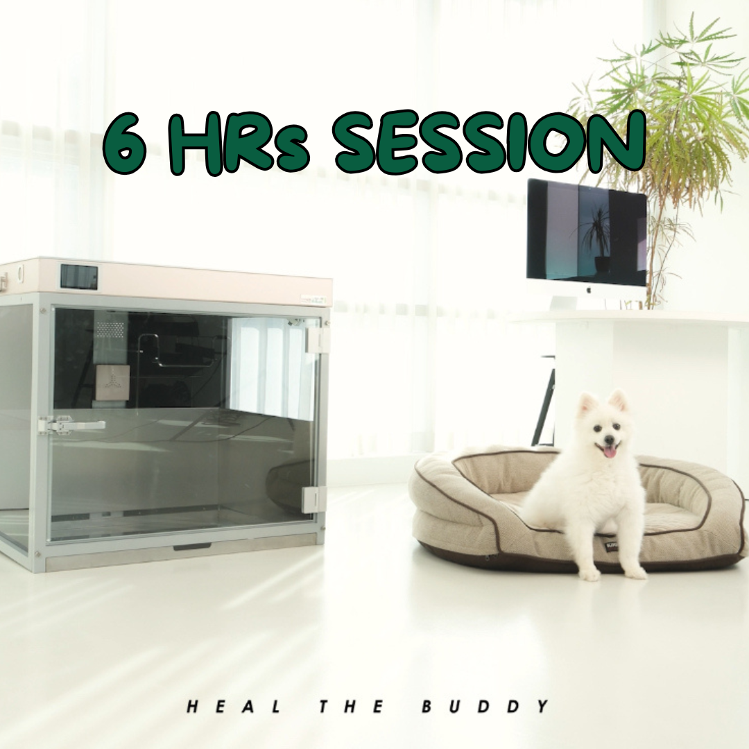 HEAL THE BUDDY - SIX SESSIONS