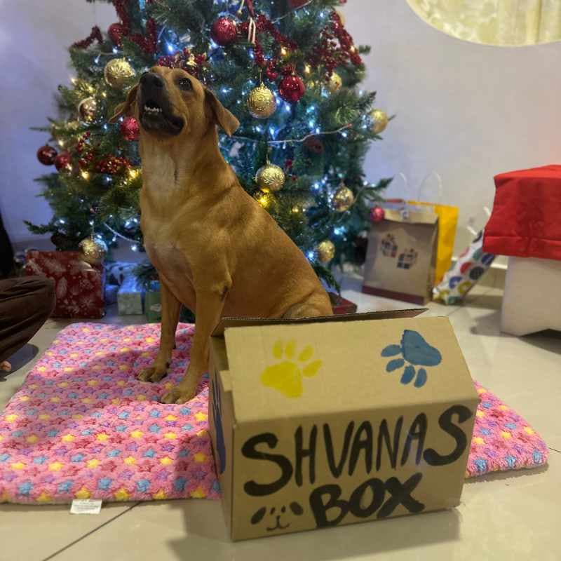 Shvanas Box Valentine's Special