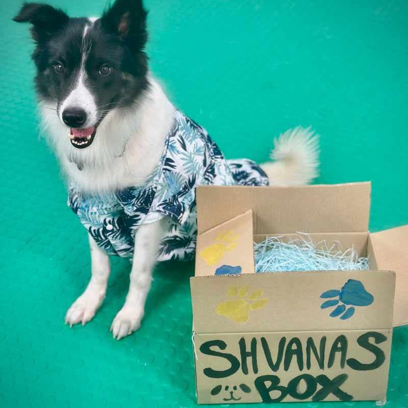 Shvanas Box Valentine's Special