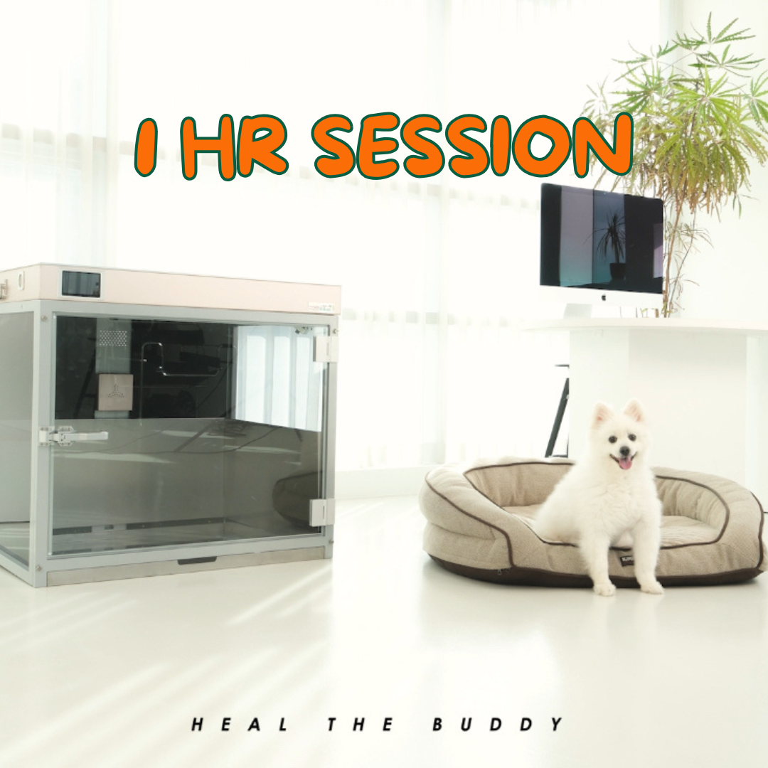 HEAL THE BUDDY - SINGLE SESSION