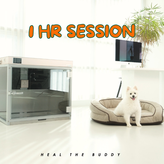 HEAL THE BUDDY - SINGLE SESSION