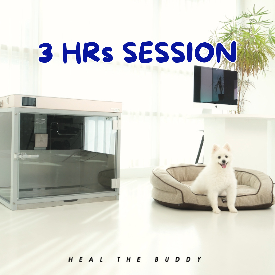 HEAL THE BUDDY - THREE SESSIONS
