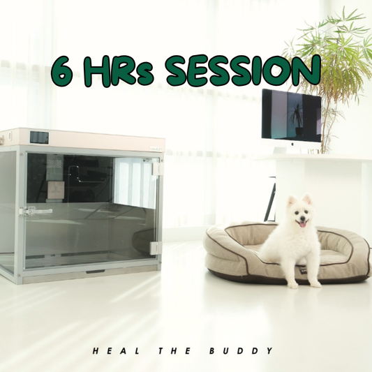 HEAL THE BUDDY - SIX SESSIONS