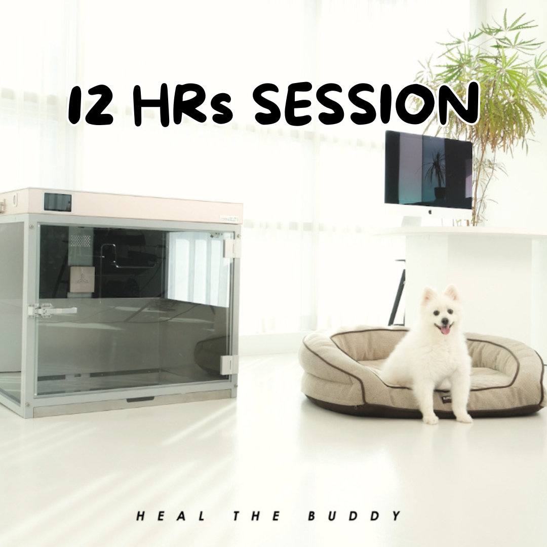 HEAL THE BUDDY - COMPLETE PACKAGE