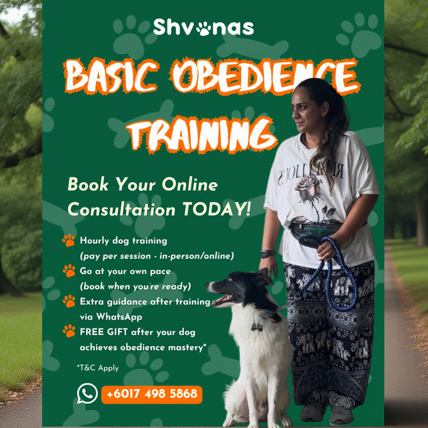 Advertisement for Shvanas Basic Obedience Training with a woman and dog on a green background.