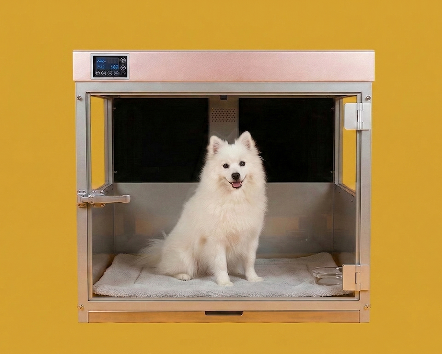White dog inside Heal The Buddy on a yellow background
