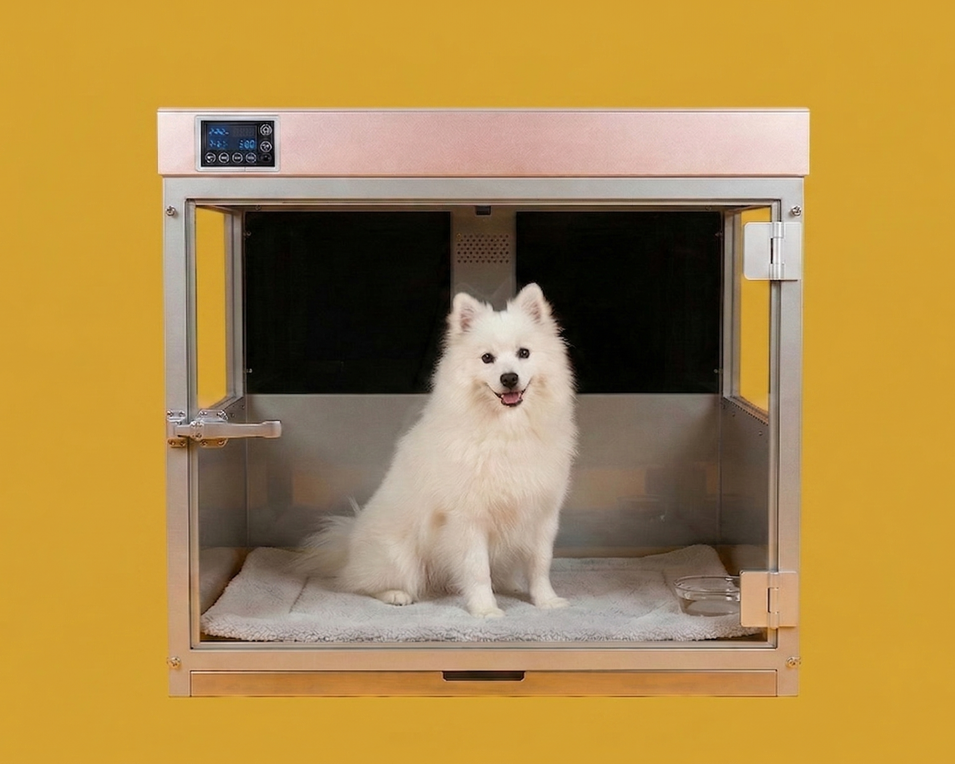 White dog inside Heal The Buddy on a yellow background