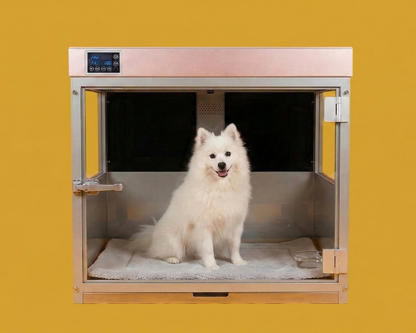 White dog inside Heal The Buddy on a yellow background