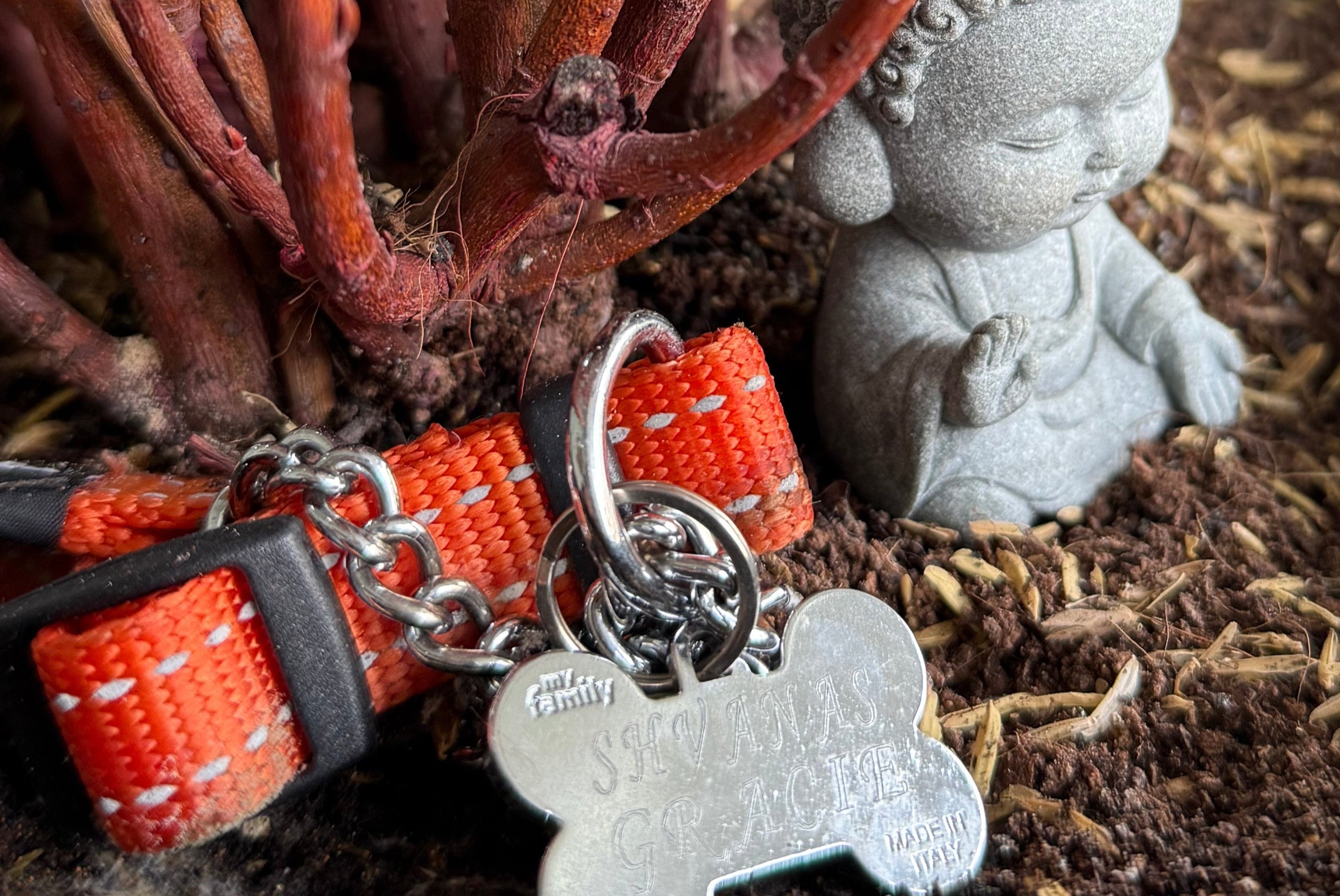 Dog collar with a paw-shaped tag on a decorative wreath