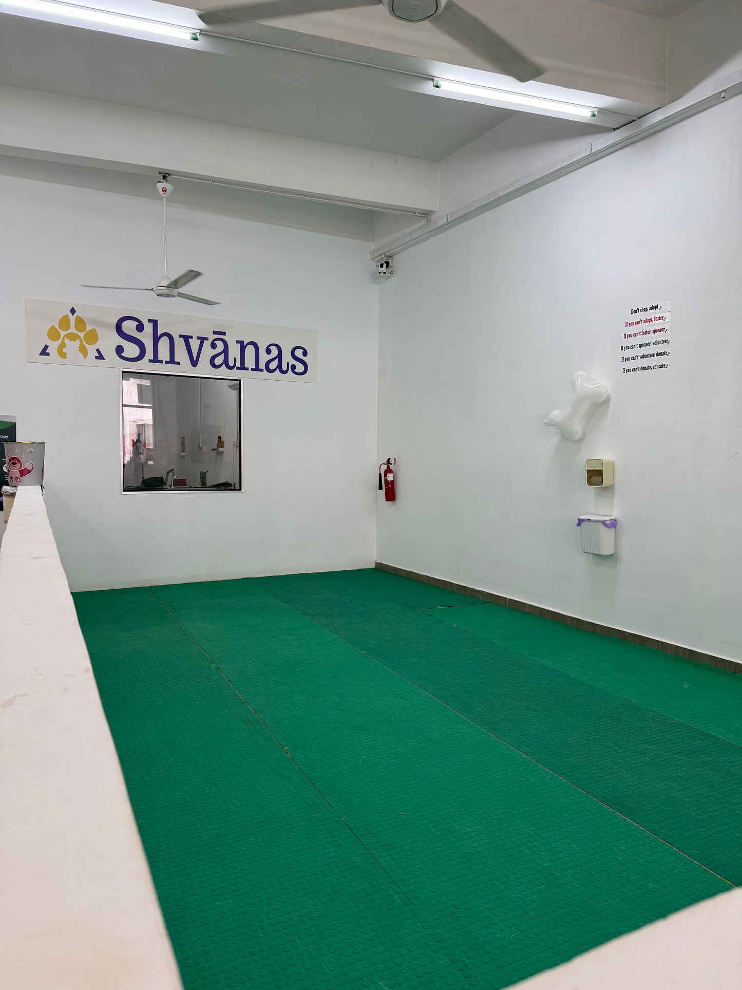 Shvanas Boarding (All Breeds and Sizes)