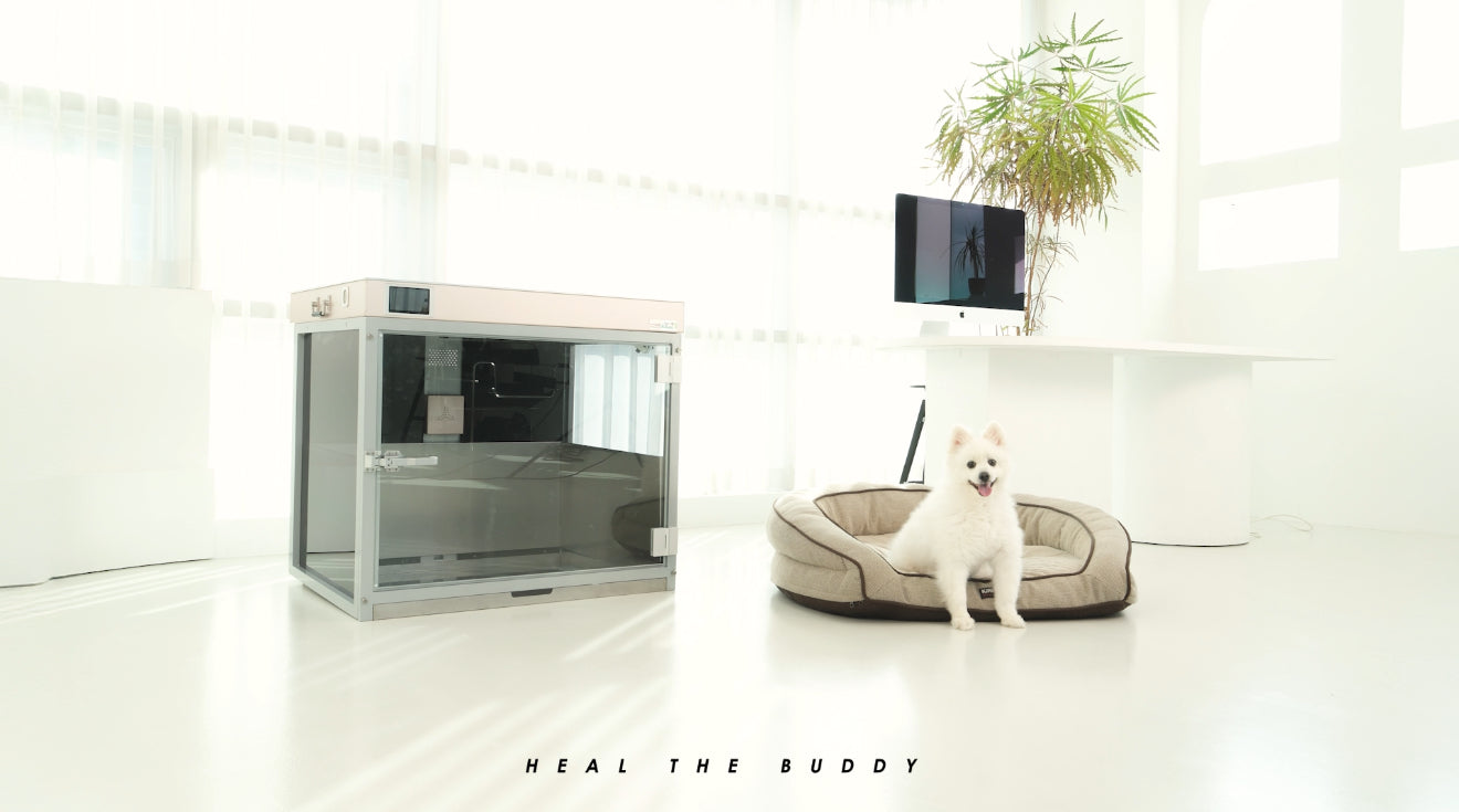 Load video: Explanation of Heal The Buddy by Vet