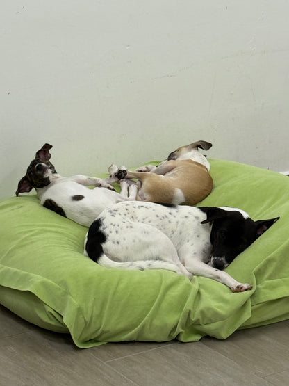 Shvanas Boarding (All Breeds and Sizes)