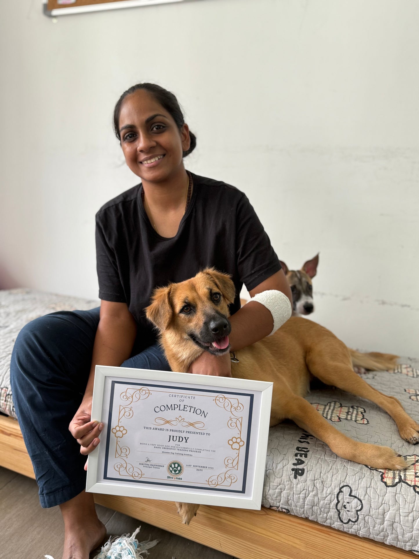 Dog Training Consultation (1 Hour)