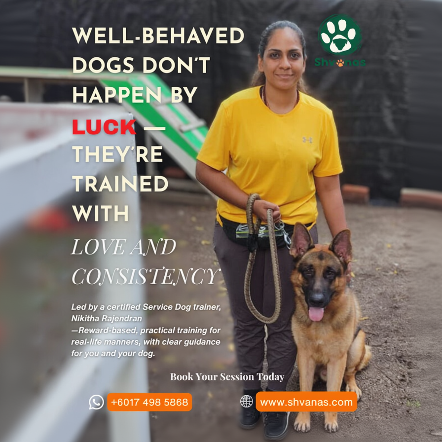 Woman in yellow shirt holding a dog with text about dog training services.