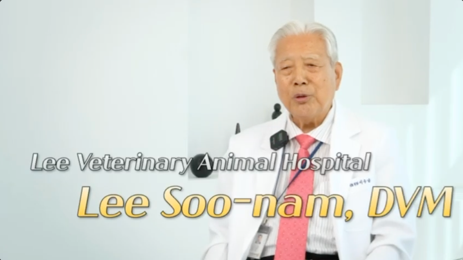 Load video: Explanation of Heal The Buddy by Vet