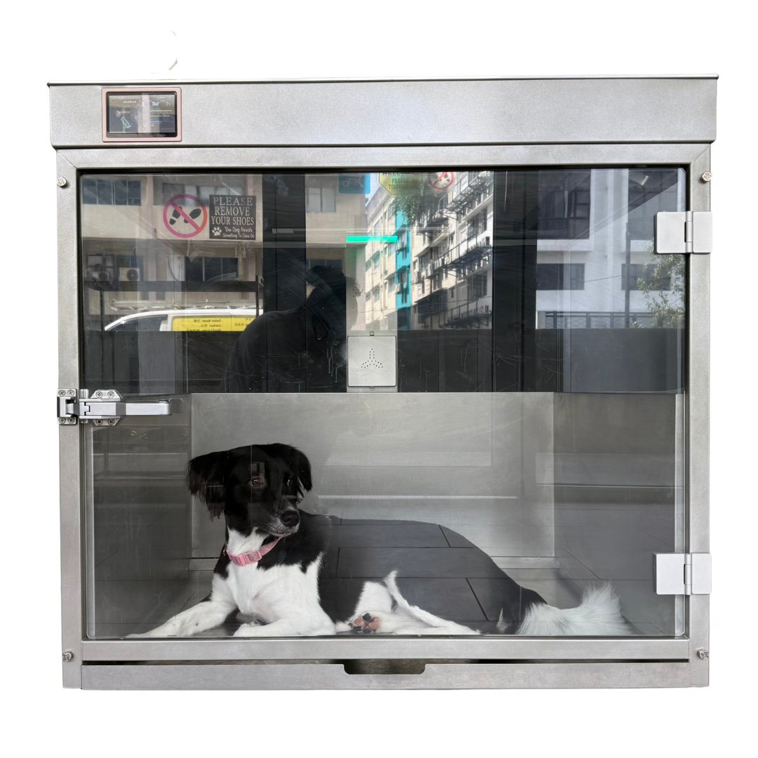 Dog inside a glass-walled animal enclosure with a cityscape view outside.