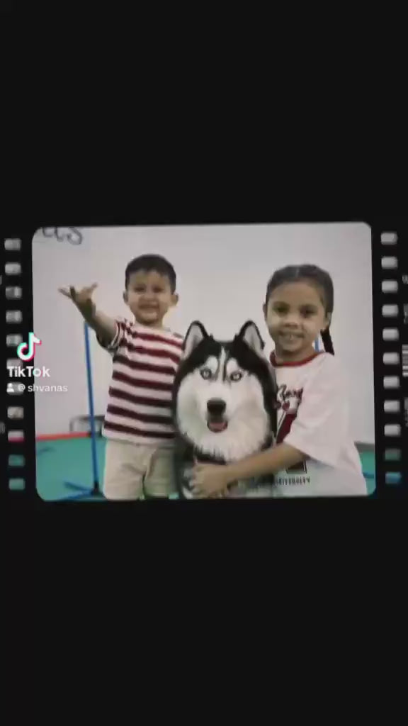 Load video: 